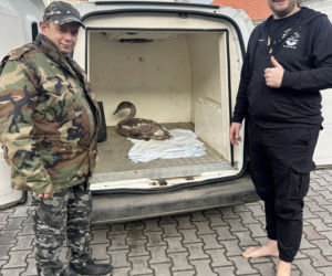 Ratował setki ptaków, dziś sam potrzebuje pomocy. Azyl Fundacji Skrzydła Lasu może zniknąć