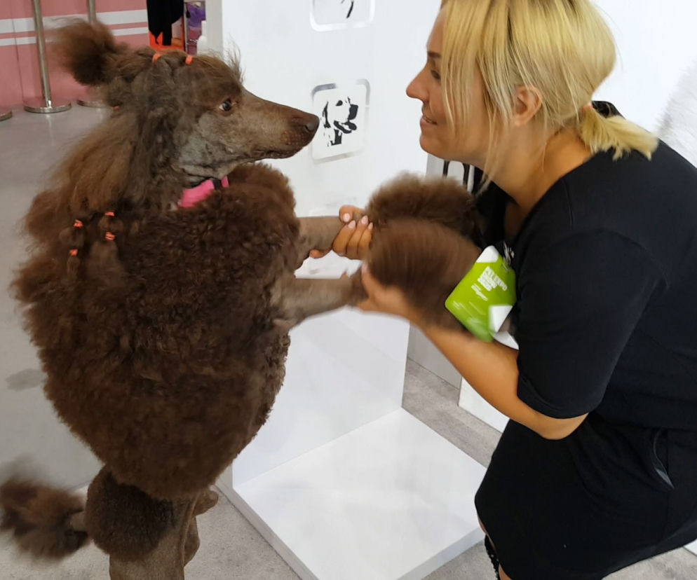 Targi PET EXPO 2019 w Bydgoszczy 