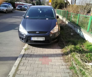 Parkują na przejściach dla pieszych, skrzyżowaniach i... przystankach autobusowych. A Straż Miejska jest bezlitosna [GALERIA]