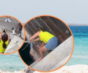 Polka bohaterką w Dubaju! Uratowała tonącego kotka podczas wakacji