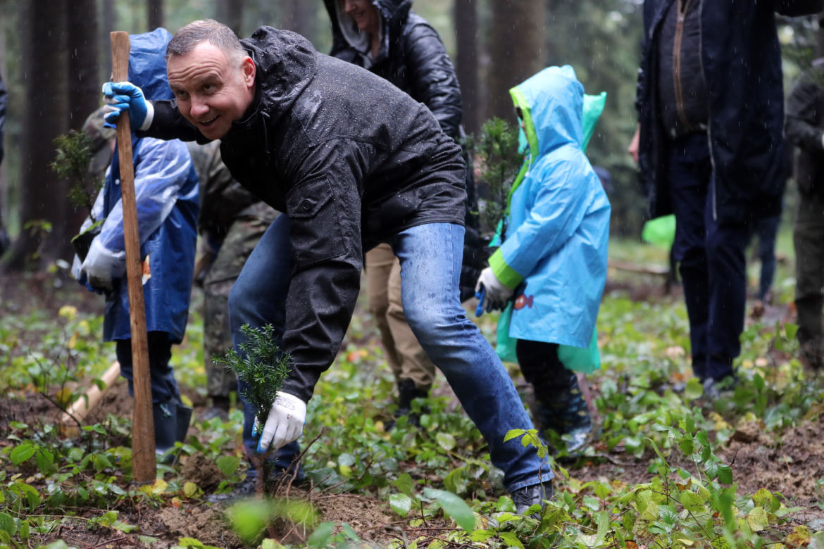 Andrzej Duda w deszczu sadził drzewa