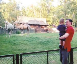 Ziobro wypoczywa w zoo