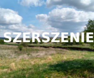 Szerszenie