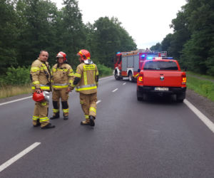 Śmiertelny wypadek na drodze Leszno-Osieczna. Nie żyją dwie osoby 
