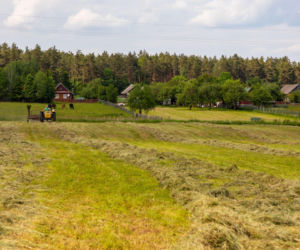 Lepiej tego nie dotykać. Ważne ostrzeżenie dla mieszkańców Podlasia