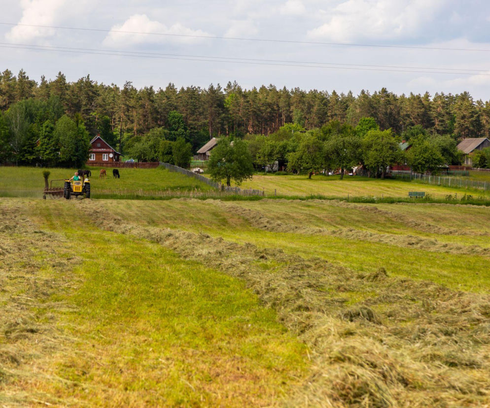 Lepiej tego nie dotykać. Ważne ostrzeżenie dla mieszkańców Podlasia