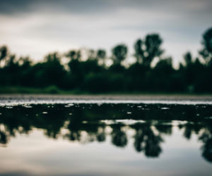 Zaginięcie 22-latka. Co działo się w lesie, gdzie znaleziono ciało?