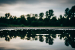 Zaginięcie 22-latka. Co działo się w lesie, gdzie znaleziono ciało?