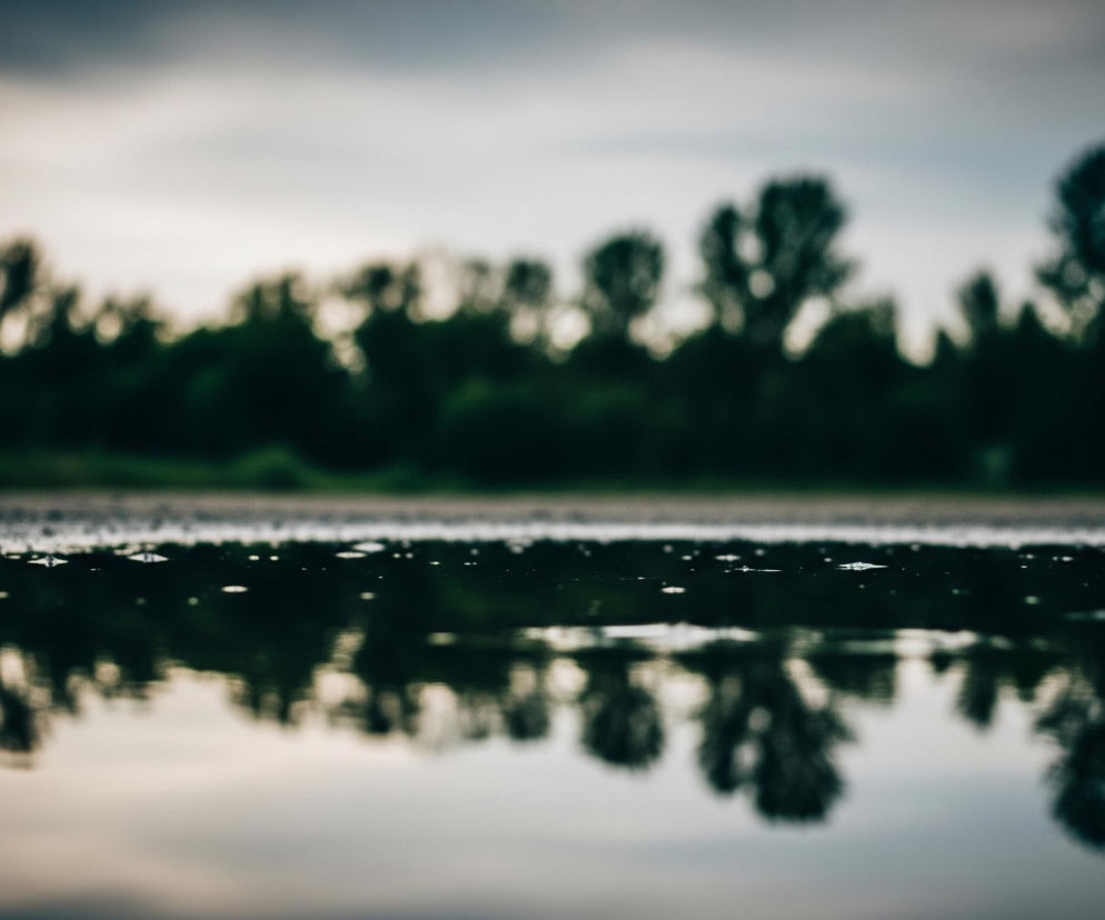 Na pierwszym planie widoczna jest tafla wody z drobnymi kropelkami i pęcherzykami powietrza, odbijająca w zniekształcony sposób niebo i zalesiony horyzont. Linia wody dzieli kadr, a ponad nią rozciąga się pas ciemnych, rozmazanych drzew na tle jasnego, zachmurzonego nieba. Ciemna zieleń drzew kontrastuje z dominującymi szaro-błękitnymi odcieniami nieba i odbicia.