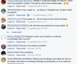  Przywiązali psa do drzewa. Internauci szukali okrutnych właścicieli szczeniaka