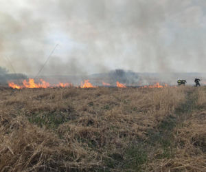 Potężny pożar obszarów chronionych Natura 2000!