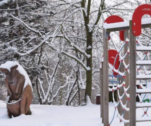 Zimowe harce na śniegu - zwierzaki z płockiego zoo szaleją ZOBACZ ZDJĘCIA!