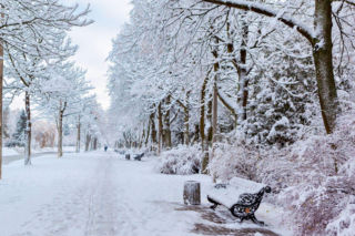 Zima wróci do Polski. W tych dniach będzie nagły zwrot w pogodzie