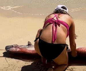 Gigantyczny wąż morski pojawił się na plaży w Cabo