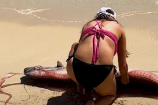 Gigantyczny wąż morski pojawił się na plaży w Cabo
