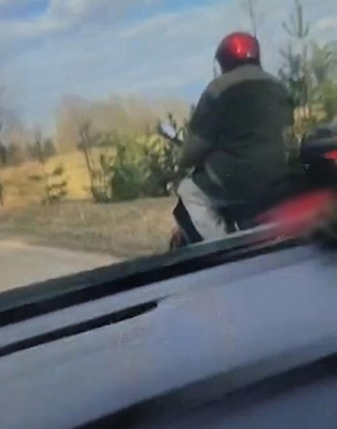 72-latek ciągnął psa za motorowerem. Zwierzę nie przeżyło