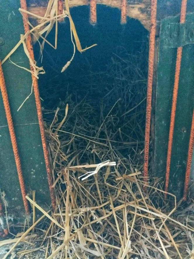 „Ma Pan ludzi za idiotów?” – Burza w sieci po kontroli w schronisku Baros i wpisie Prezydenta Boguckiego