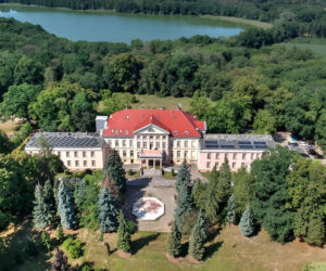 Wyorał z ziemi tysiącletni skarb. Tajemnica wielkopolskiego pałacu 