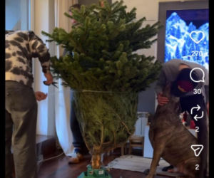 Jacek Rozenek - święta z żoną i synami