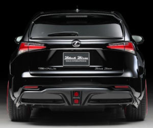 Lexus NX by Wald International