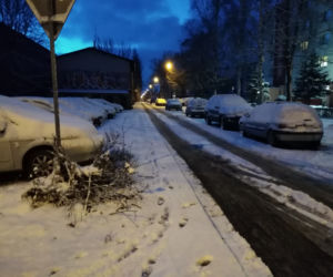 Zima na Śląsku. Zdjęcia z Zabrza