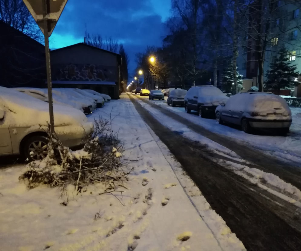 Zima na Śląsku. Zdjęcia z Zabrza