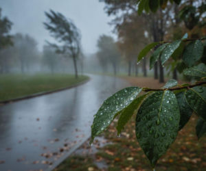 Pogodowa katastrofa we Władysławowie? Urlopowicze nie będą zadowoleni, ale weekend przyniesie zwrot akcji