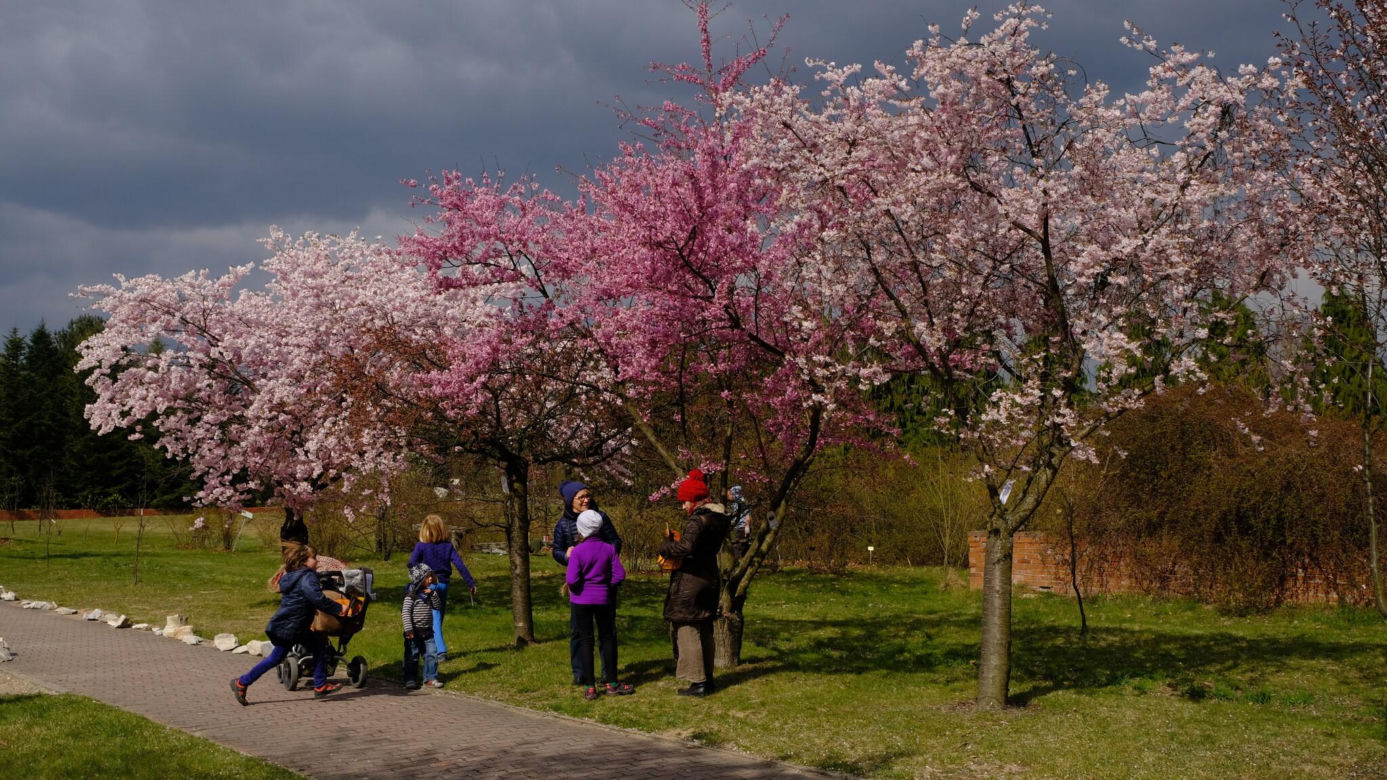 Ogród Botaniczny PAN w Powsinie
