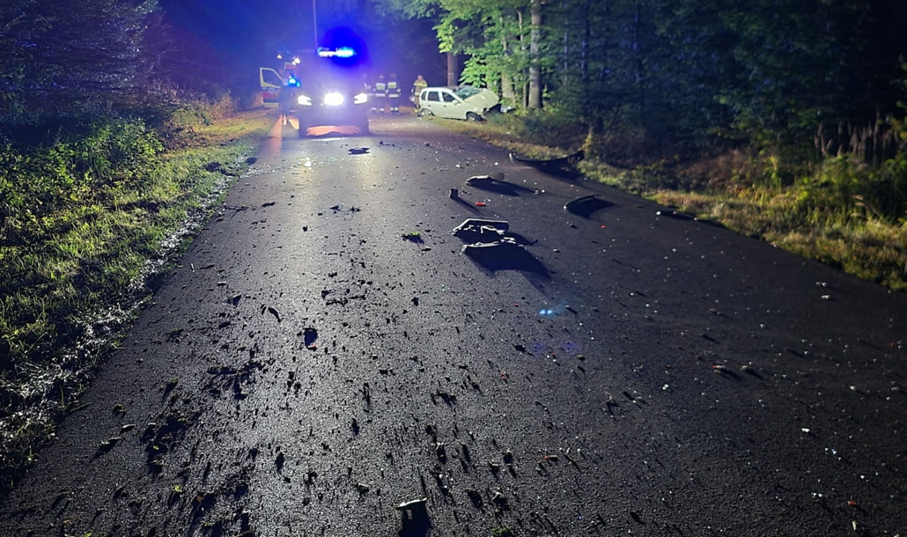 Potworny wypadek pod Mińskiem Mazowieckim. Opel rąbnął w drzewo. Dwie osoby nie żyją