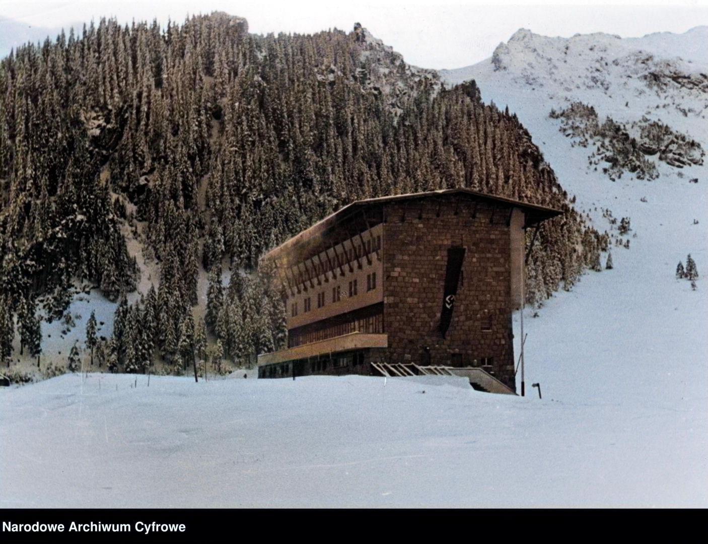 Kalatówki - zdjęcie pokolorowane przez AI