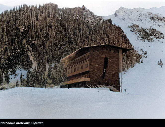 Kalatówki - zdjęcie pokolorowane przez AI