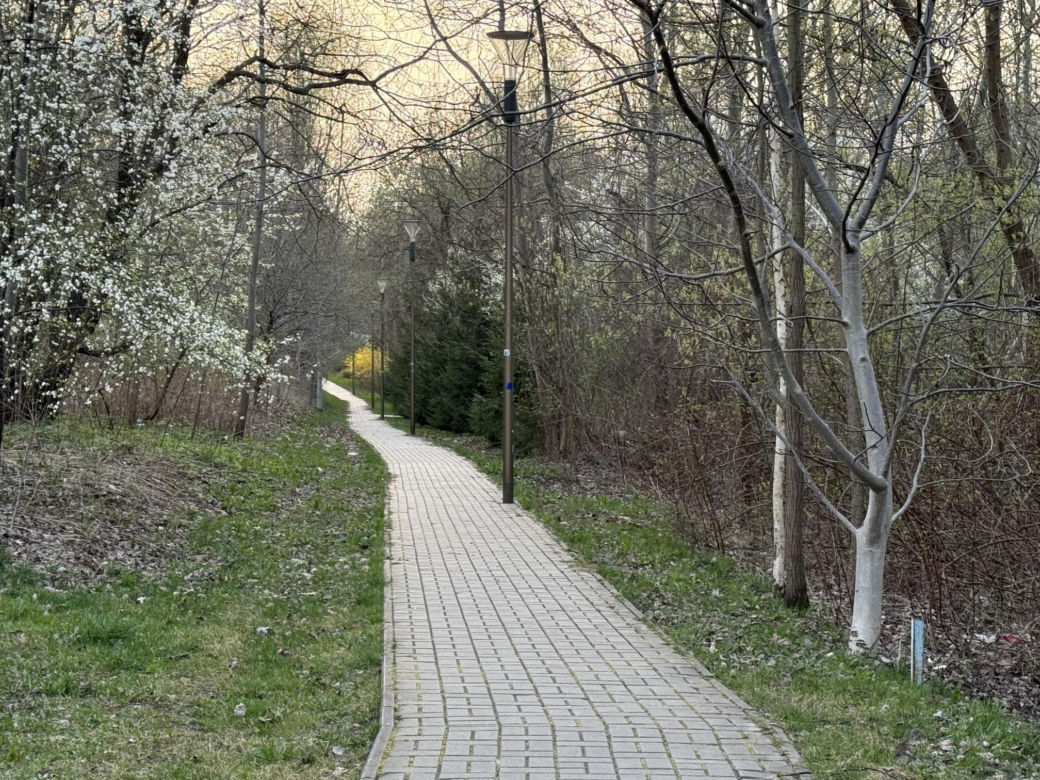 Wiosna w Lublinie rozkwitła kolorami! 