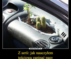 Tych memów o teściowych nie pokażesz mamie! Internauci nie mają litości