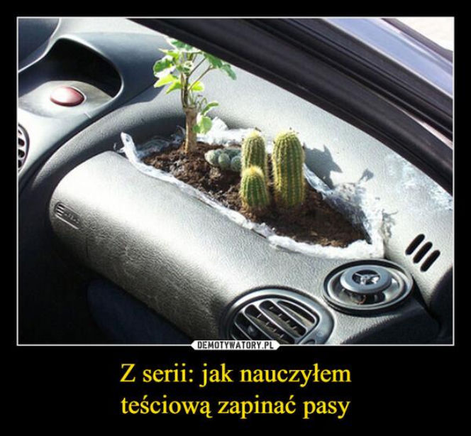 Tych memów o teściowych nie pokażesz mamie! Internauci nie mają litości