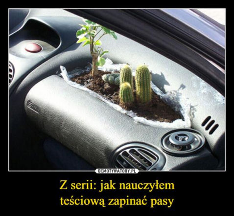 Tych memów o teściowych nie pokażesz mamie! Internauci nie mają litości