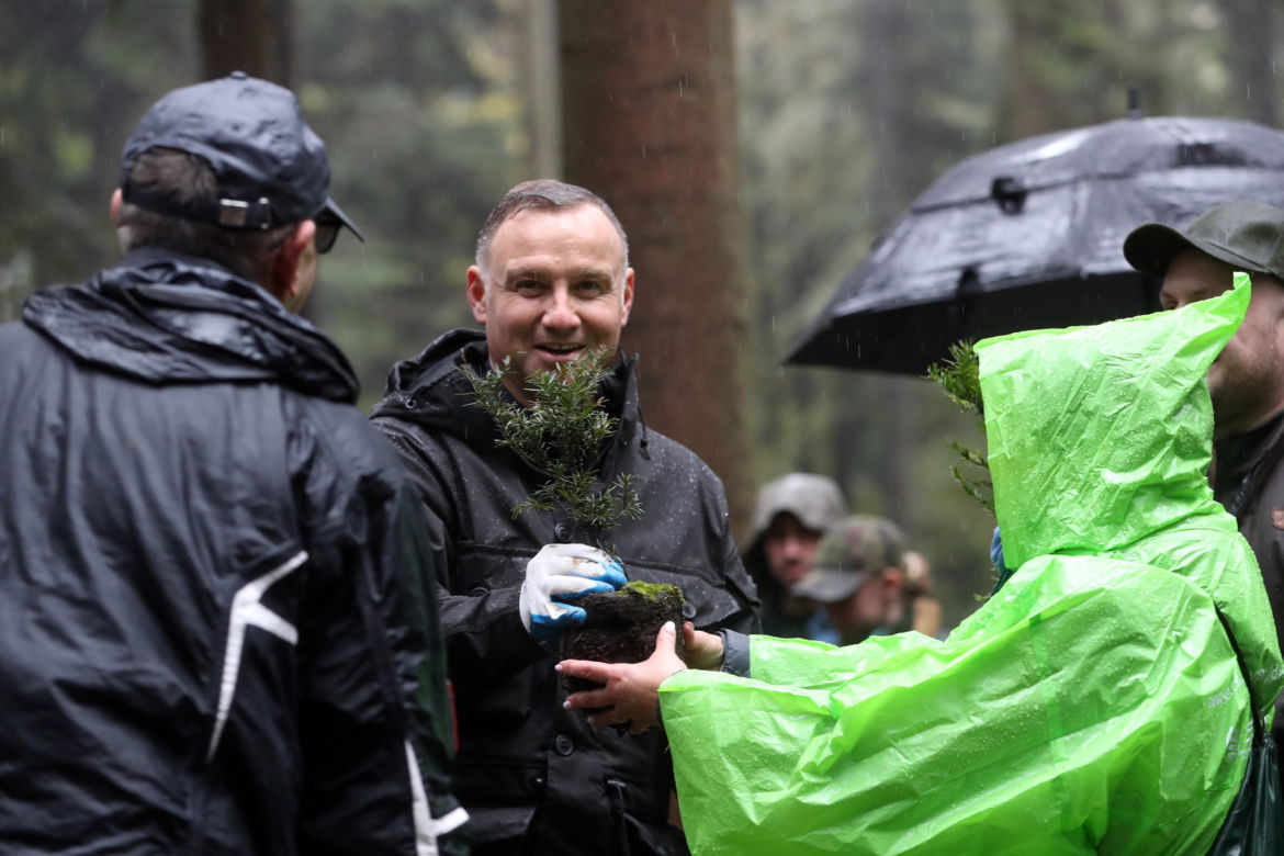 Andrzej Duda w deszczu sadził drzewa