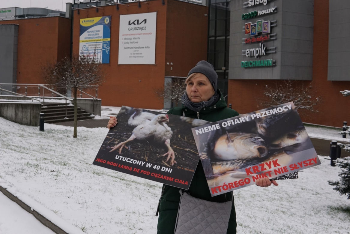 W Grudziądzu manifestowali aktywiści na rzecz zwierząt