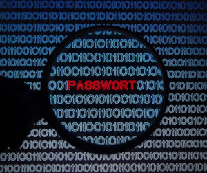 TOP 20 haseł w Polsce w 2025 roku