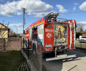 Uratowali kota, który wpadł do studni