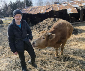 Rolnik z Podlasia bronił swojego bydła. Gdyby nie brat, to by mnie tam zatłukli