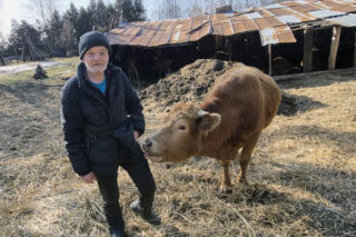 Rolnik z Podlasia bronił swojego bydła. Gdyby nie brat, to by mnie tam zatłukli