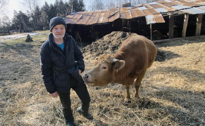 Rolnik z Podlasia bronił swojego bydła. "Gdyby nie brat, to by mnie tam zatłukli"