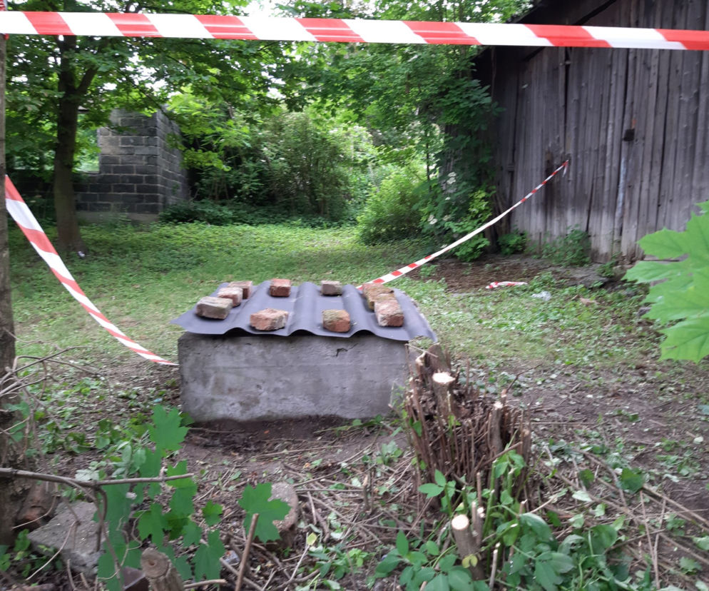Tajemnicza śmierć w Niedźwiedziu