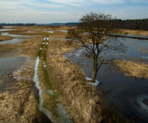 Rozlewiska rzeki Narew. Niesamowite zdjęcia z drona [ZDJĘCIA]