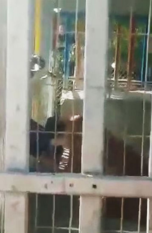 Lew rozszarpał chłopca w zoo! Horror w biały dzień!
