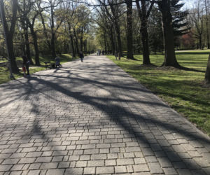 Katowice: Tłumy w Parku Kościuszki. Mieszkańcy ruszyli na spacery