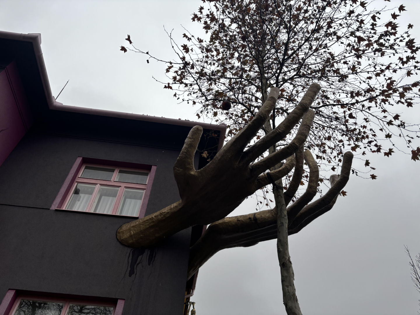 Kristkův dům w Brnie, Czechy