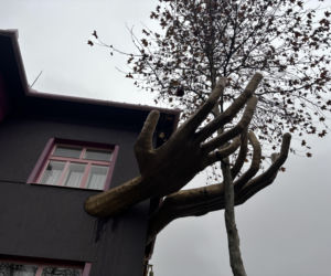 Kristkův dům w Brnie, Czechy