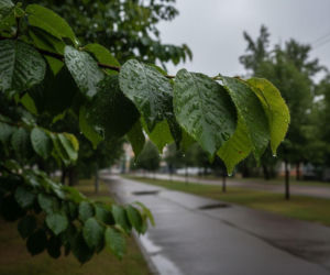 Weekend w Toruniu przyniesie zmienną aurę. Sobota da odpocząć od deszczu