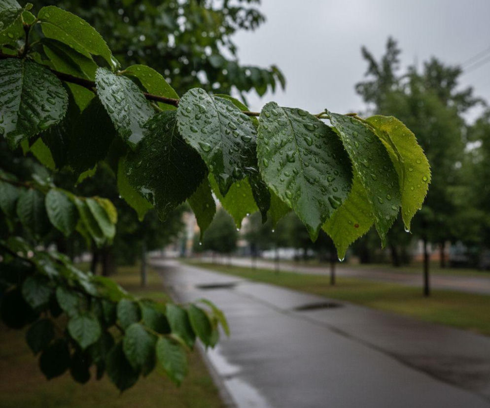 AI zdjęcie do artykułu